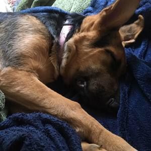 Meet your Posher, John